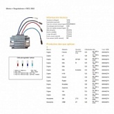 Регулятор напряжения DZE REG 2503