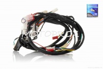 Электропроводка Lipai GY6 50/150 Storm Qt9