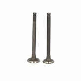 Клапаны Inparts IP000440
