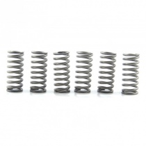 Пружины корзины сцепления EBC CSK211/6