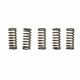Пружины корзины сцепления EBС CSK101/6