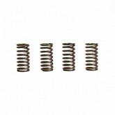Пружины корзины сцепления EBС CSK166/4