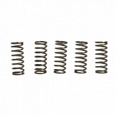Пружины корзины сцепления EBС CSK180/5