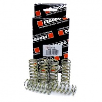 Пружины корзины сцепления Ferodo FSS0113