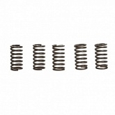 Пружины корзины сцепления JR EBS065