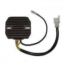 Регулятор напряжения Elektrosport ESR110