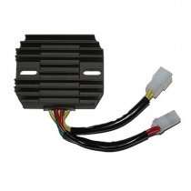 Регулятор напряжения Elektrosport ESR123