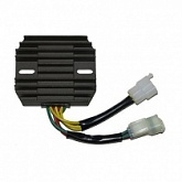 Регулятор напряжения Elektrosport ESR124