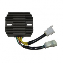 Регулятор напряжения Elektrosport ESR124
