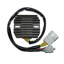 Регулятор напряжения Elektrosport ESR436