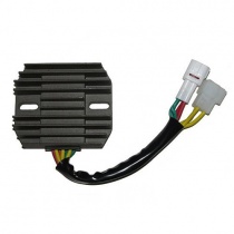 Регулятор напряжения Elektrosport ESR552