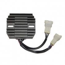 Регулятор напряжения Elektrosport ESR574
