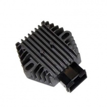 Регулятор напряжения Elektrosport ESR587