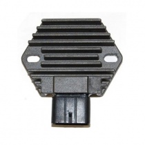 Регулятор напряжения Elektrosport ESR589