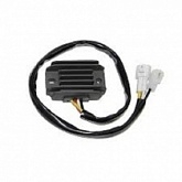 Регулятор напряжения Elektrosport ESR601