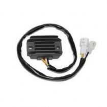 Регулятор напряжения Elektrosport ESR601