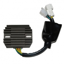 Регулятор напряжения Elektrosport ESR691