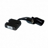 Регулятор напряжения Tourmax RGU-181