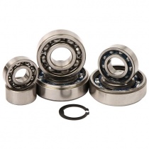 Ремкомплект коробки передач Hot Rods TBK0036