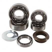 Ремкомплект коробки передач Hot Rods TBK0111