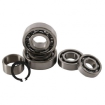 Ремкомплект коробки передач Hot Rods TBK0116