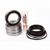 Подшипники оси колеса Pivot Works RWK Y30 700
