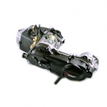 Силовой агрегат EVO SAE-003 GY6 80