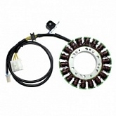 Статор генератора Elektrosport ESG371