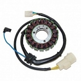 Статор генератора Elektrosport ESG495