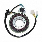 Статор генератора Elektrosport ESG739