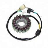 Статор генератора Elektrosport ESG950