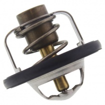 Термостат Tourmax TMT-301