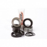 Подшипники оси колеса Pivot Works RWC S08 500