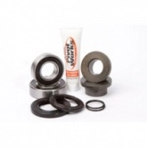 Подшипники оси колеса Pivot Works RWC Y04 500