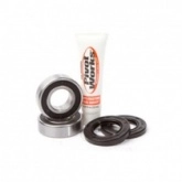 Подшипники оси колеса Pivot Works RWK K05 521