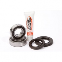 Подшипники оси колеса Pivot Works RWK Y08 421