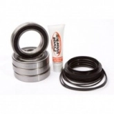 Подшипники оси колеса Pivot Works RWK Y30 700