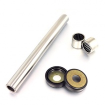 Ремкомплект маятника Bearing Worx SAK30019