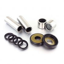 Ремкомплект маятника Bearing Worx SAK30021