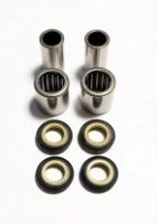 Ремкомплект маятника Bearing Worx SAK50005