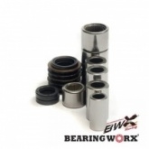 Ремкомплект рычага подвески Bearing Worx SAL30012