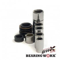 Ремкомплект рычага подвески Bearing Worx SAL30012