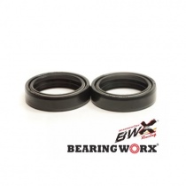 Сальники вилки Bearing Worx FSK14923 35x48x11