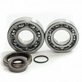 Подшипники коленчатого вала Bearing Worx CBK25001