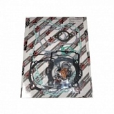 Комплект прокладок двигателя Bearing Worx GFK60035