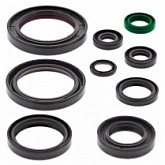 Сальники двигателя Bearing Worx OSK30352