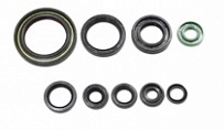Сальники двигателя Bearing Worx OSK30357