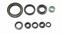 Сальники двигателя Bearing Worx OSK50319