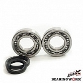 Подшипники коленчатого вала Bearing Worx CBK15002