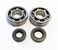Подшипники коленчатого вала Bearing Worx CBK50004